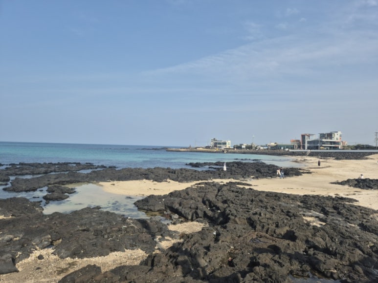 Paysage de plage de basalte