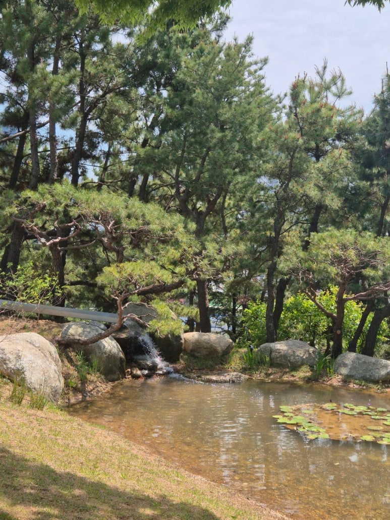 小さな池