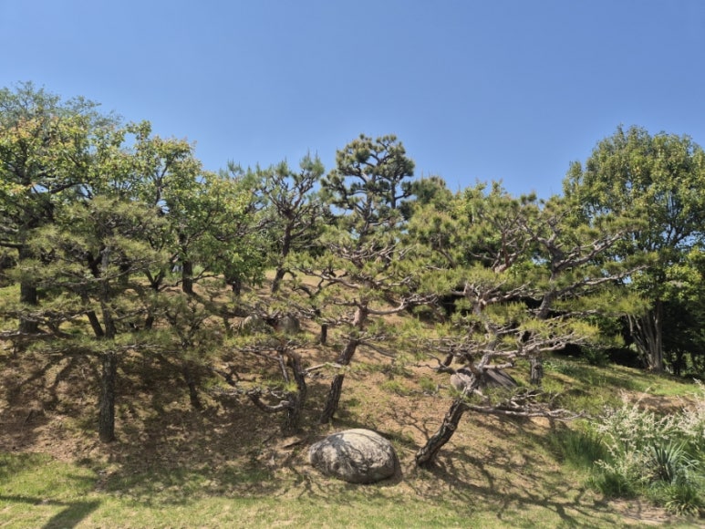 ドモヒョン庭園