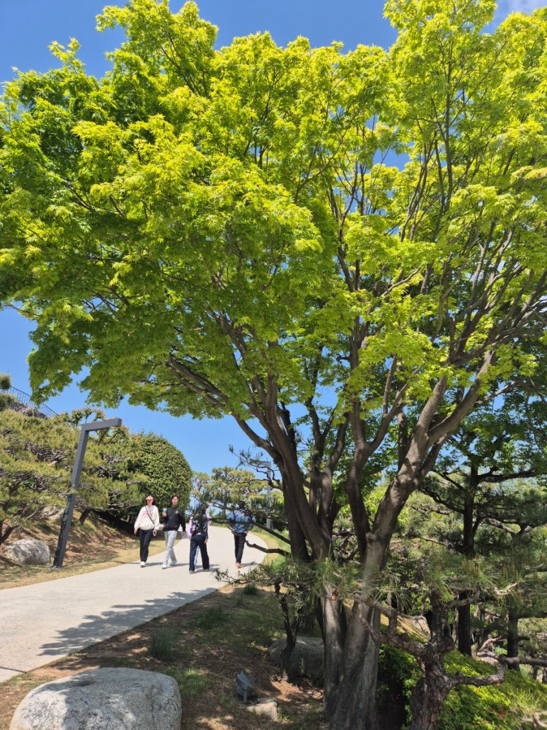 ドモヒョン遊歩道