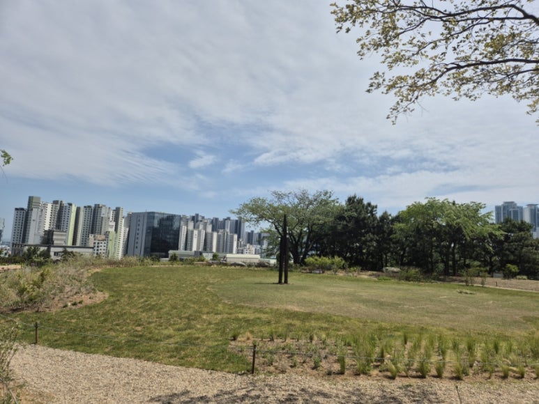 建物から見た風景