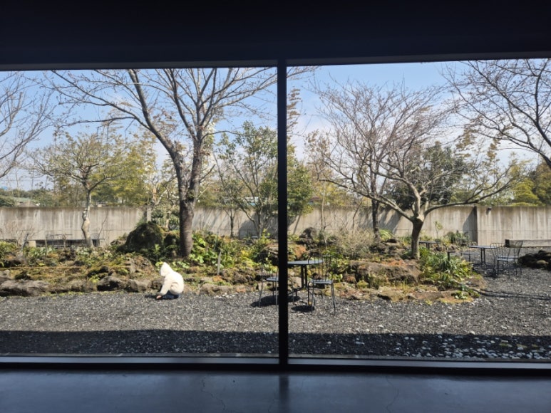 Vista del jardín