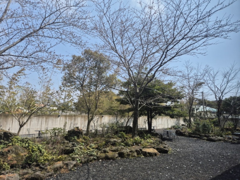 Predicción de cambios en el jardín según la estación