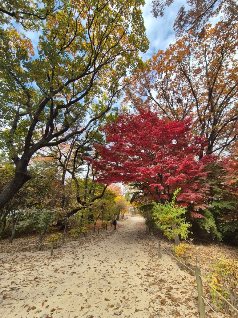 Paysage intérieur du Sanctuaire de Jongmyo