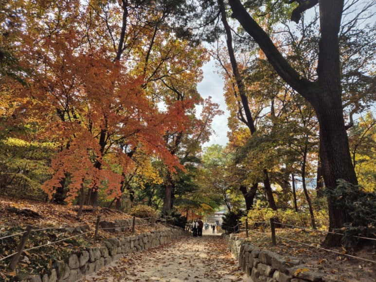 Paysage intérieur du Sanctuaire de Jongmyo