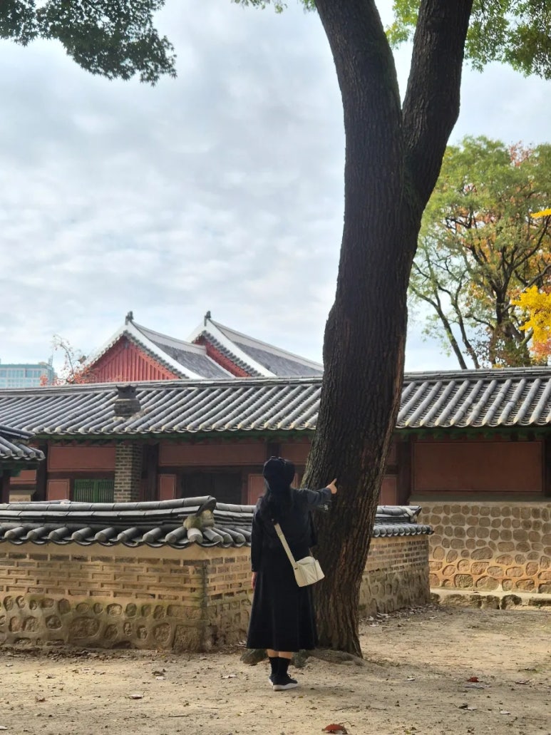 Paysage intérieur du Sanctuaire de Jongmyo