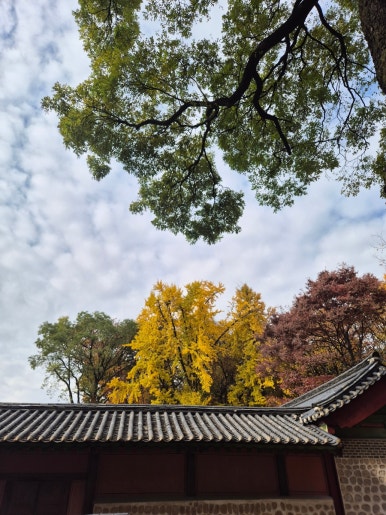 Paysage intérieur du Sanctuaire de Jongmyo