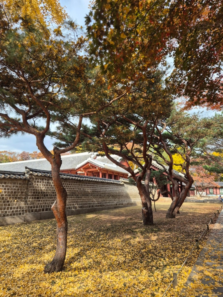 Paysage intérieur du Sanctuaire de Jongmyo