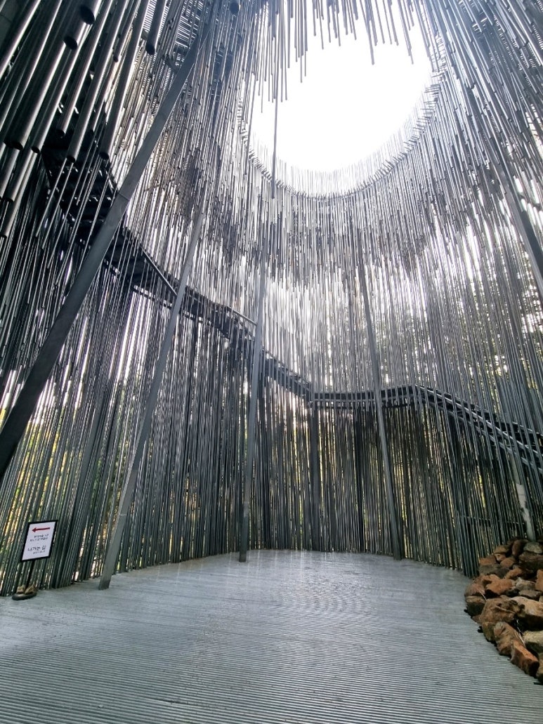 Lối vào Rừng ống