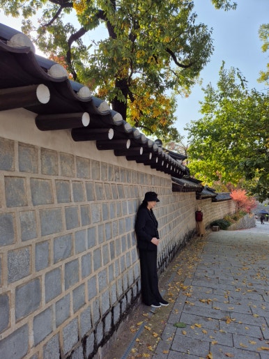 徳寿宮 石垣道の紅葉