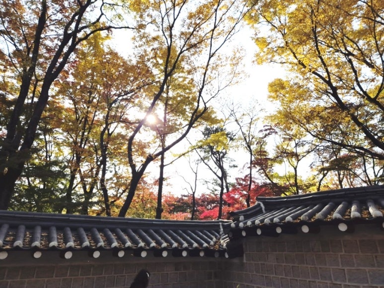瓦屋根が見える風景