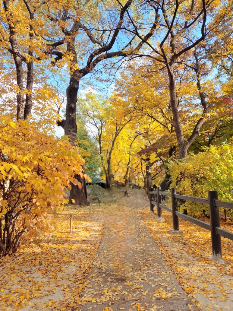 秋の紅葉と一緒の様子