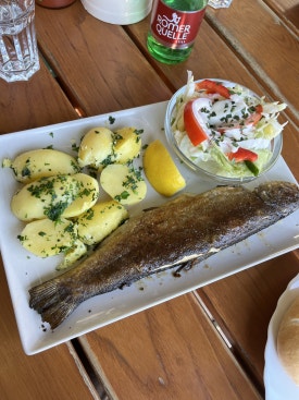 Schirmbar Hallstatt Fish Dish 2