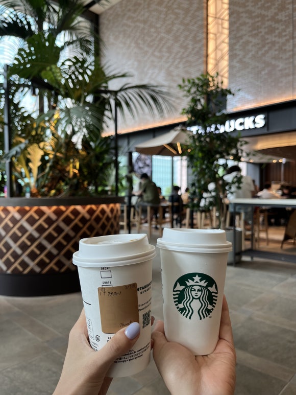 Starbucks Miredo