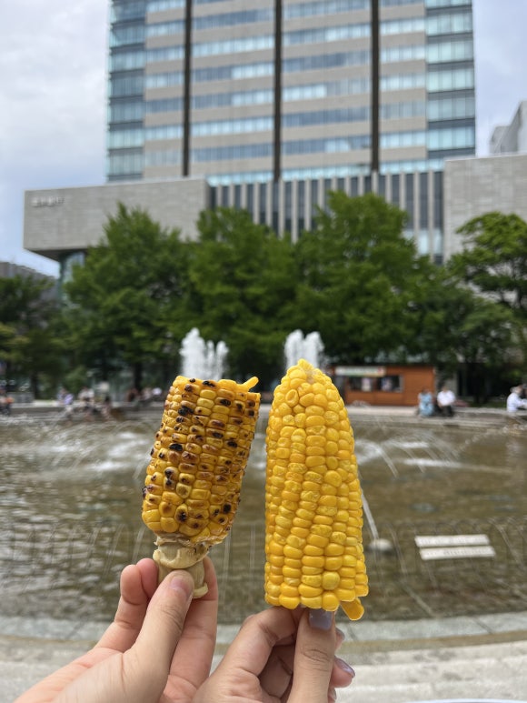 Parc Odori