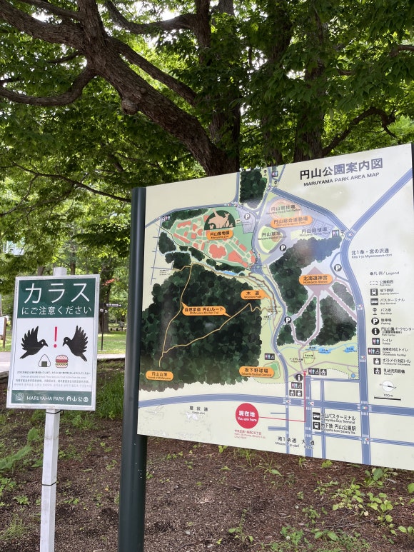 Zoo de Maruyama