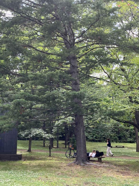 Zoo de Maruyama