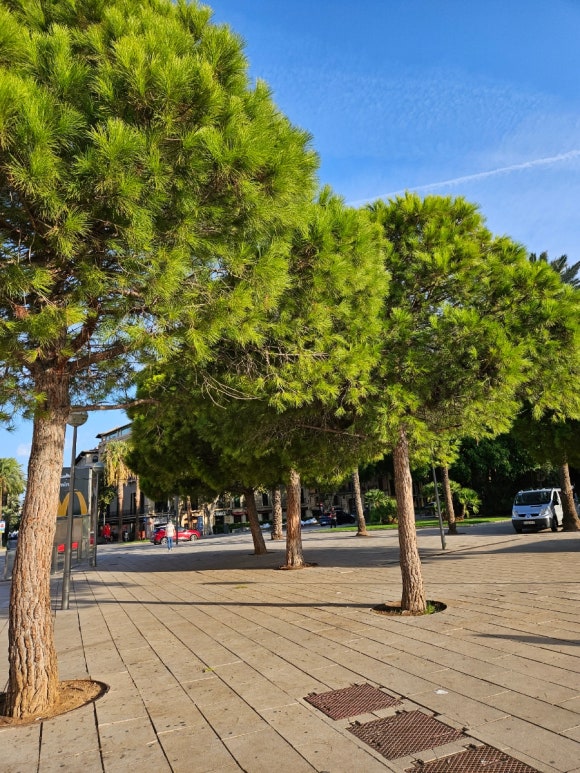 Almudaina Palast