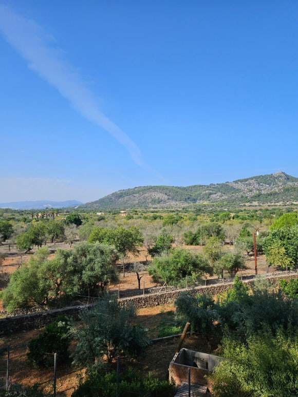 Landschaft von S'Oliver