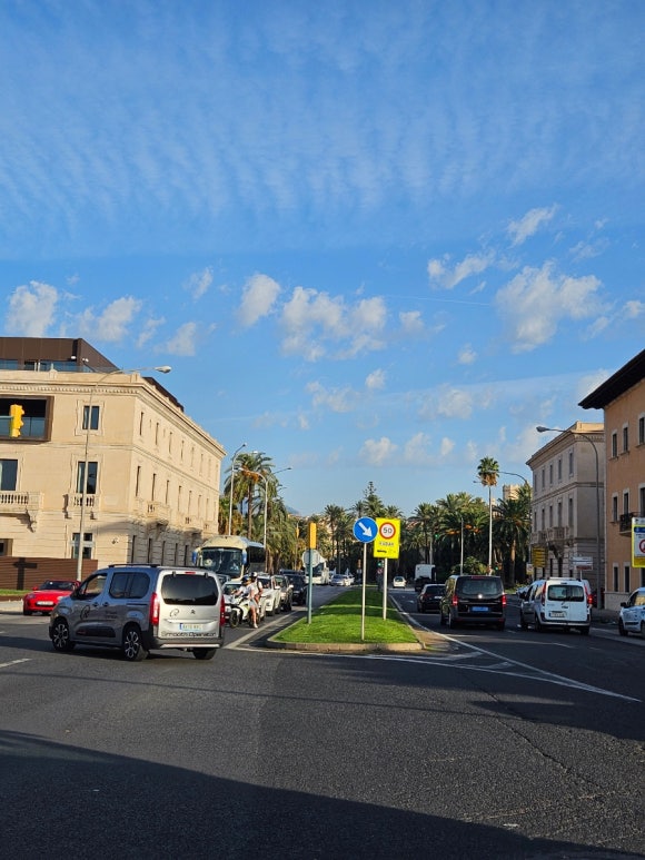 Hafen von Palma