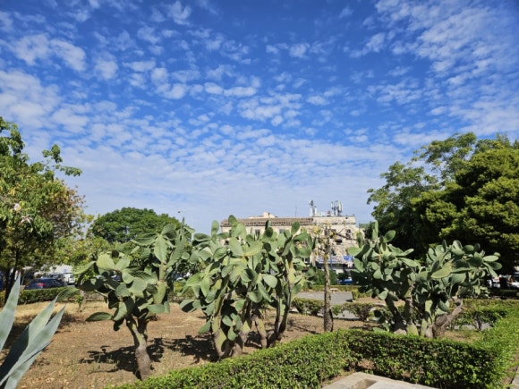 Phong cảnh đường phố Palermo