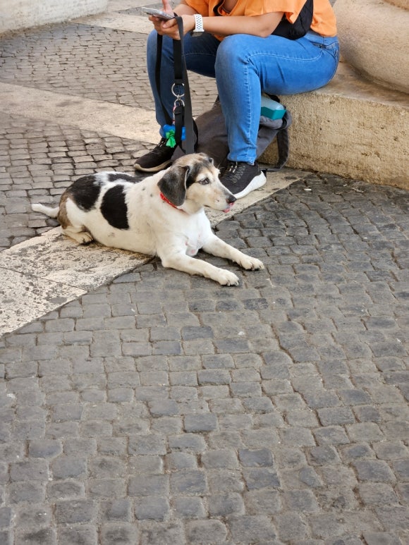 Civitavecchia