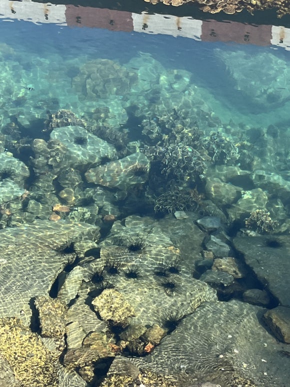 Meereslandschaft am Sutra-Pier