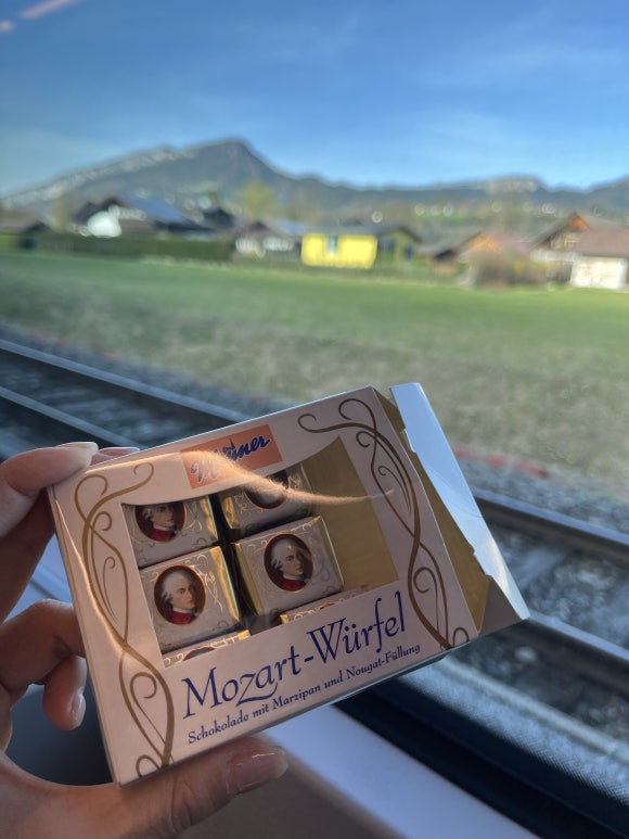 Zug nach Salzburg