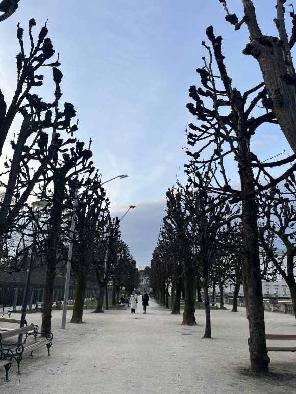 Mirabellgarten