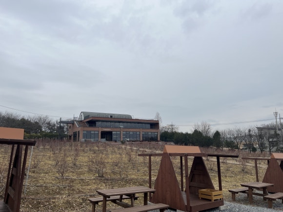 Hundehütte im Café-Innenraum