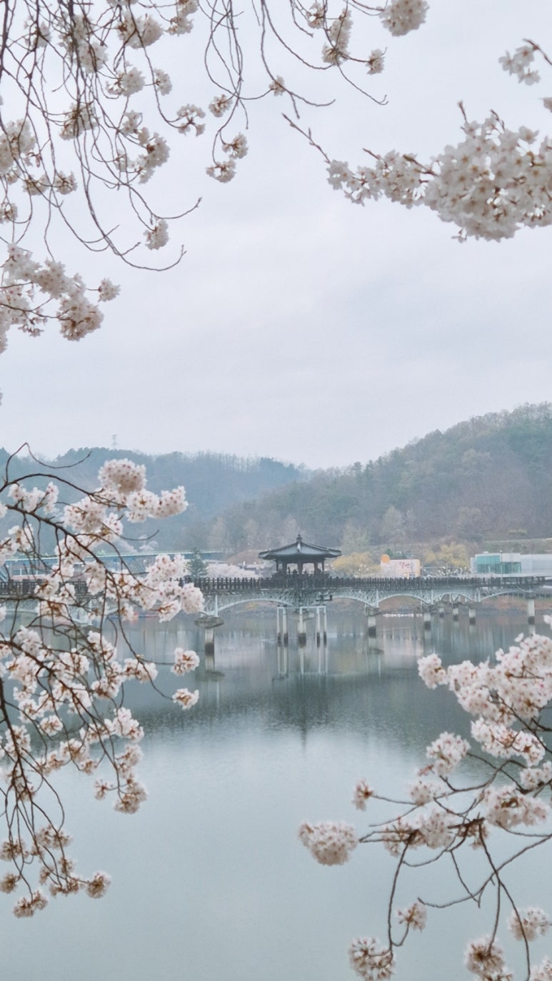 Andong Wolyeonggyo scenery